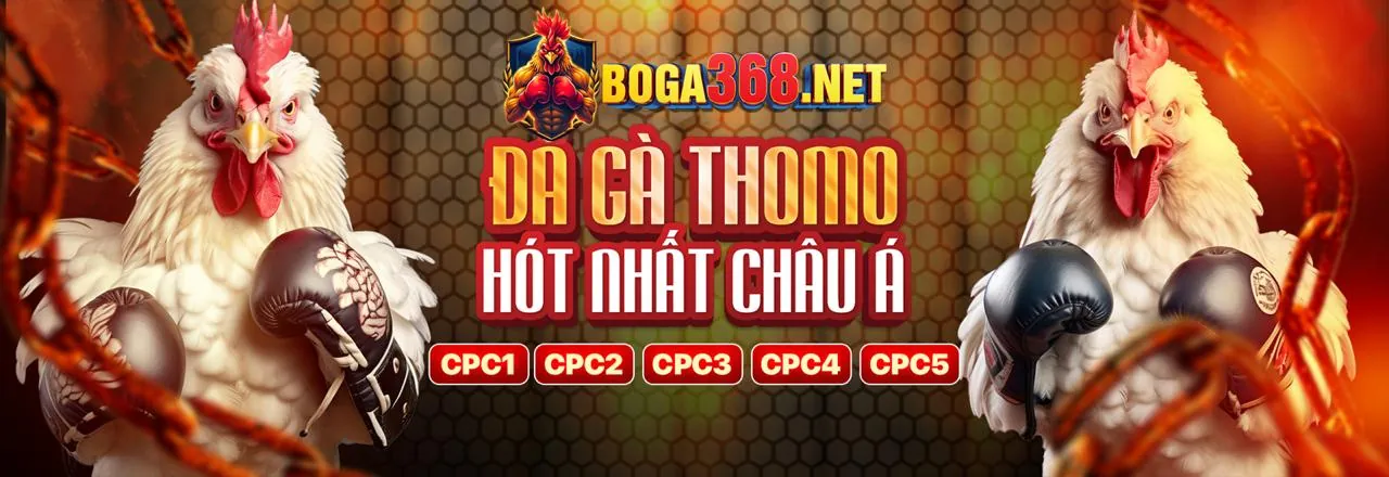 Khám phá thế giới bắn cá vipwin chính thức 2026
